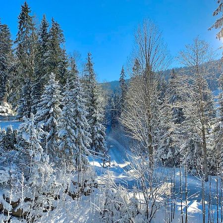 Haus Widmann Apartment Scheffau am Wilden Kaiser Luaran gambar
