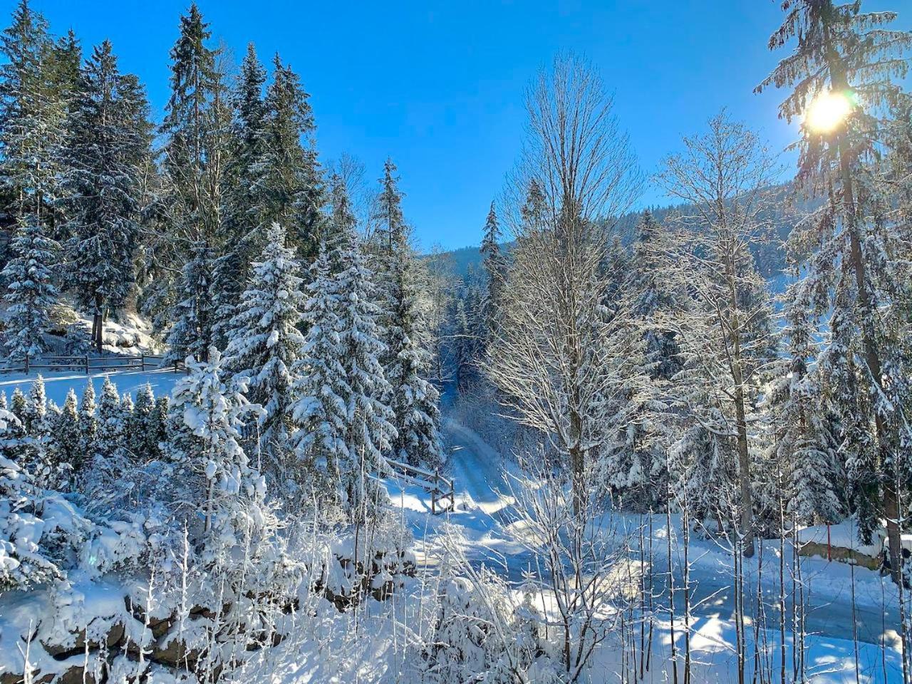 Haus Widmann Apartment Scheffau am Wilden Kaiser Luaran gambar